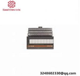 Rockwell Automation 1794-IF8IHNFXT Analog Input Module