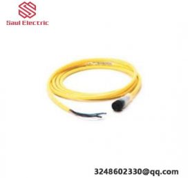 AB 889N-U3AF-12F Mini Straight Cord, Advanced Industrial Control Module