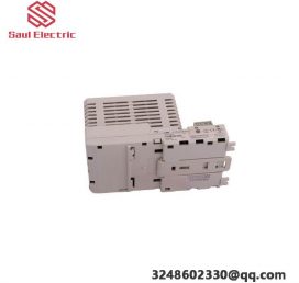 ABB FAU810 C10-12010: Advanced Flame Detection Module for Industrial Automation