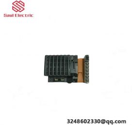 B&R 2AO300.6 Digital Input Module for Industrial Automation