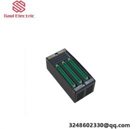 BACHMANN DI0232 - High-Performance Digital Input/Output Module