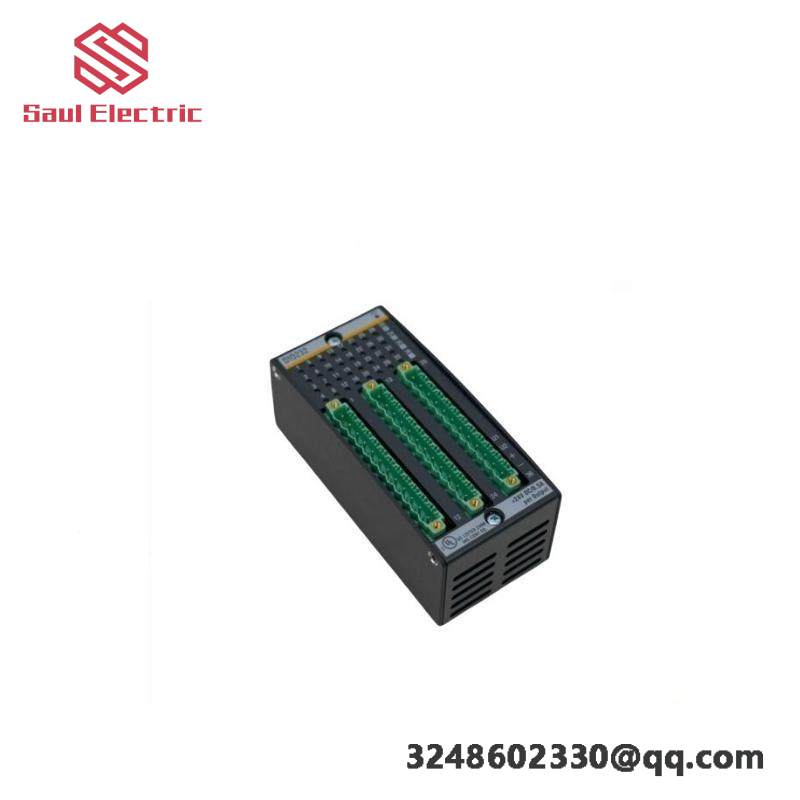 BACHMANN DI0232 - High-Performance Digital Input/Output Module