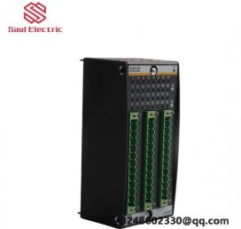 Bachmann DI232 - 32-Channel Digital Input Module, Industrial Control, Precision Automation