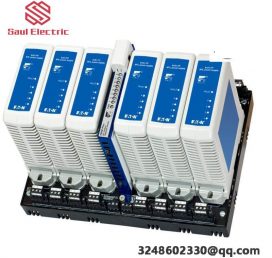 EMERSON 9191-FP Redundant Fieldbus Power Supplies, Designed for Industrial Automation