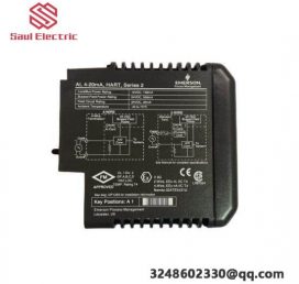 Emerson VE4003S2B2 | DeltaV Analog Input Module