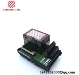 FOXBORO P0916AC - Advanced PLC Module for Industrial Automation