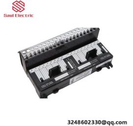 GE IC670CHS101 Extended Product Type: PLC - I/O Terminal Block