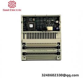 Schneider Electric 170AAI52040 Modicon Momentum Analog Input Module - Industrial Automation Innovation