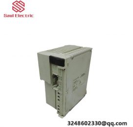 Modicon TSXSUP1021: Industrial Power Supply Process Module