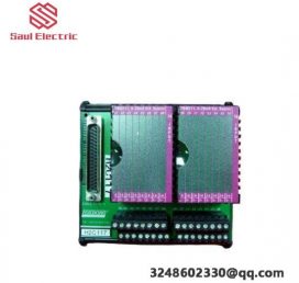 Foxboro P0916BT: I/A Series Control Module for Industrial Automation