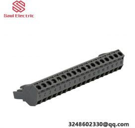 Schneider Electric's 170XTS00100 Screw Terminal Block for Modicon Momentum PLCs