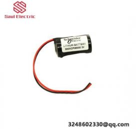 Schneider Electric 990XCP98000 Industrial Cable Module