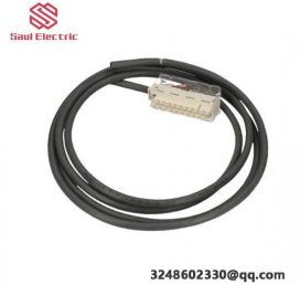 Schneider BMXFTW301S Analog Input/Output Module Connection Cable - Reliable Link for Industry 4.0 Solutions