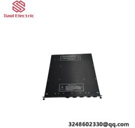 TRICONEX 4000093-210 I/O Module