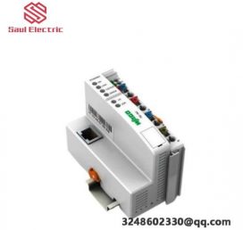 WAGO 750-550/006-000 Analog Output Module - Precise Control for Industrial Automation