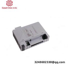 Yokogawa AAI543-S00 Current Output Module